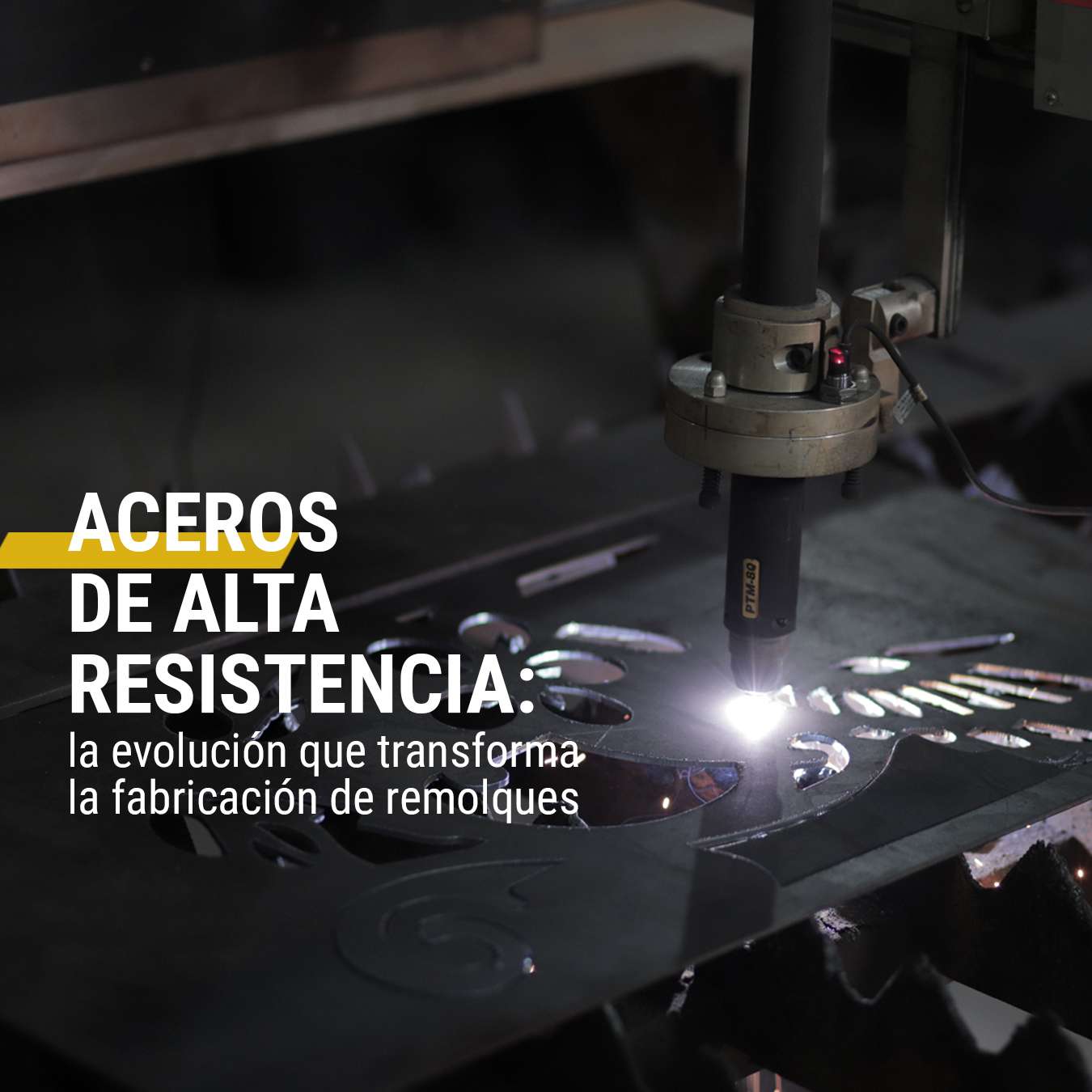 FLYER WEB